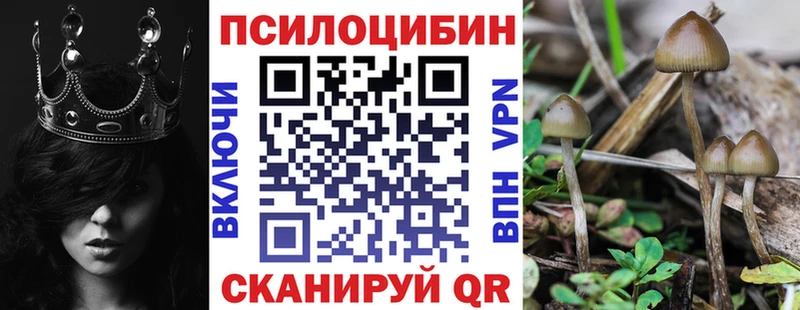 Псилоцибиновые грибы MAGIC MUSHROOMS Калач-на-Дону