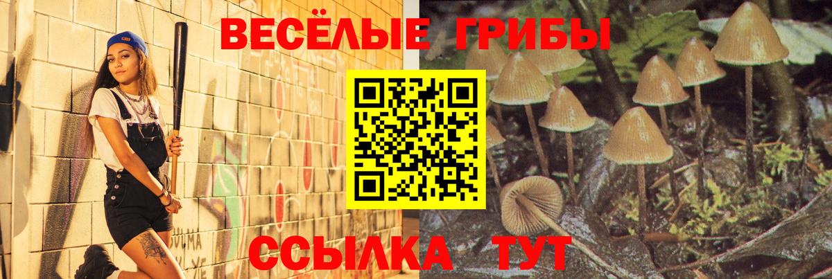 Галлюциногенные грибы мицелий Калач-на-Дону